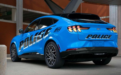 雙電機(jī) 四驅(qū),零百加速僅5秒,肌肉線條 警車造型,真霸氣 汽車 網(wǎng)